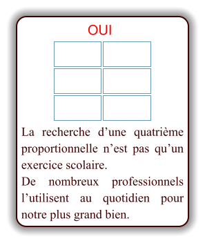 La recherche d’une quatrième proportionnelle n’est pas qu’un exercice scolaire.  De nombreux professionnels l’utilisent au quotidien pour notre plus grand bien. OUI